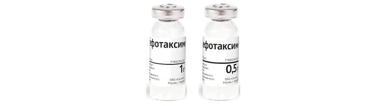 Cefotaxime